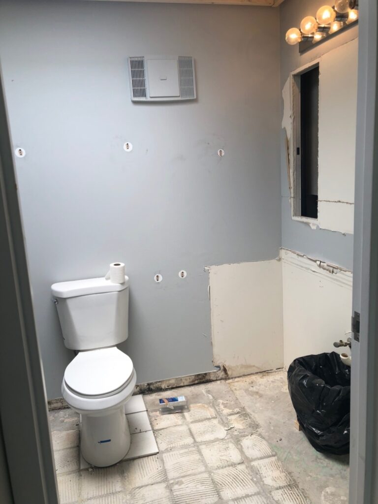 Master Bathroom after demo